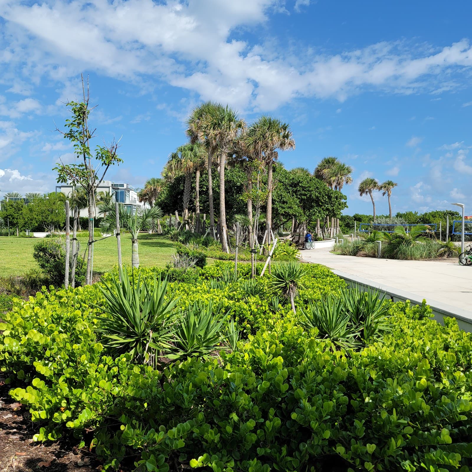 Altos Del Mar Park - Image 1