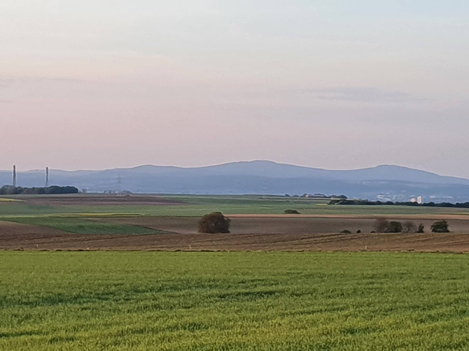 Mainz Carnival Club (MCC)