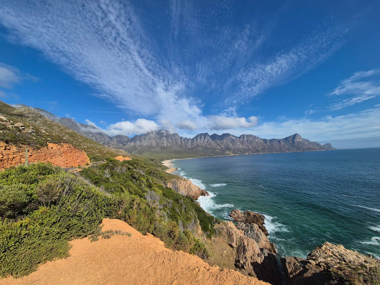 African Penguin Colony
