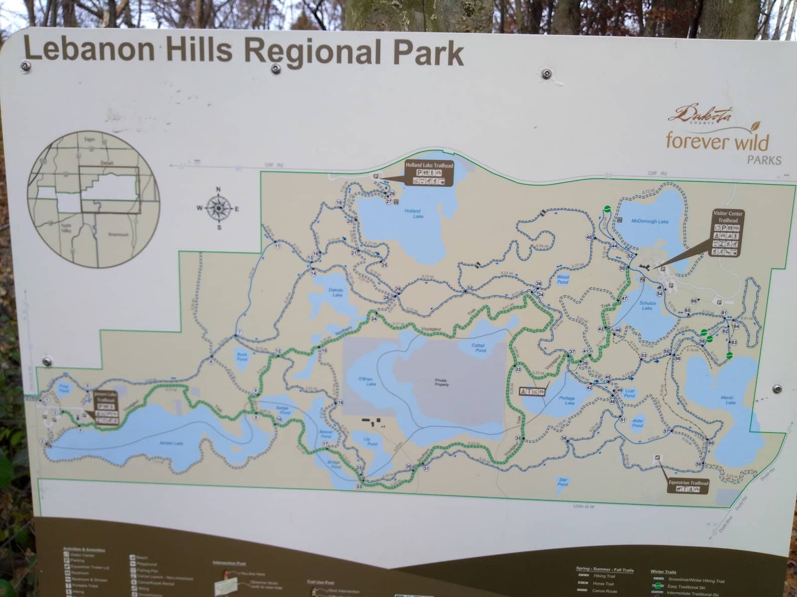 Pond and Woods Exploration