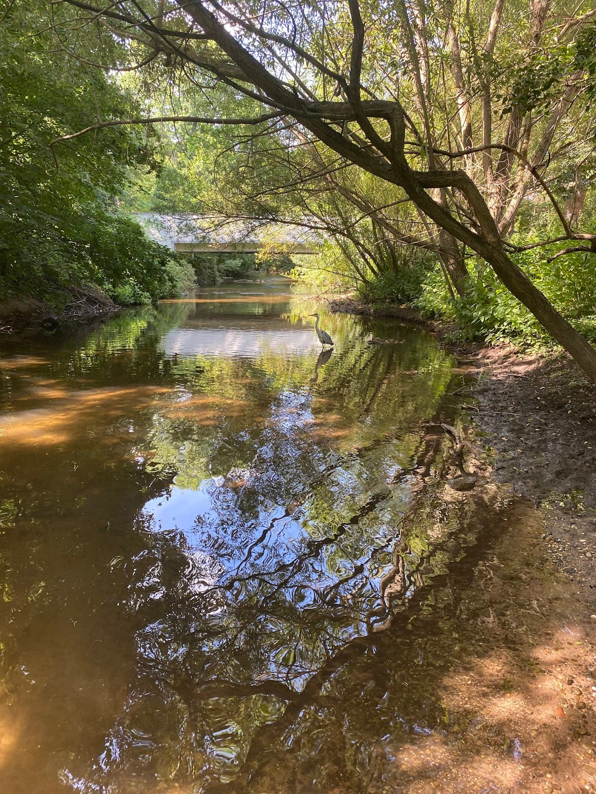 Alb River Promenade - Image 1