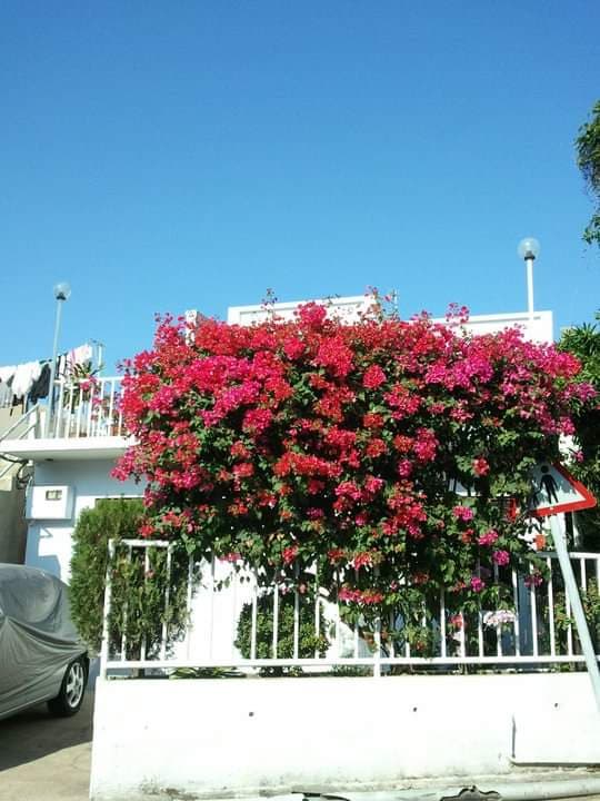 Shek O Village - Image 1