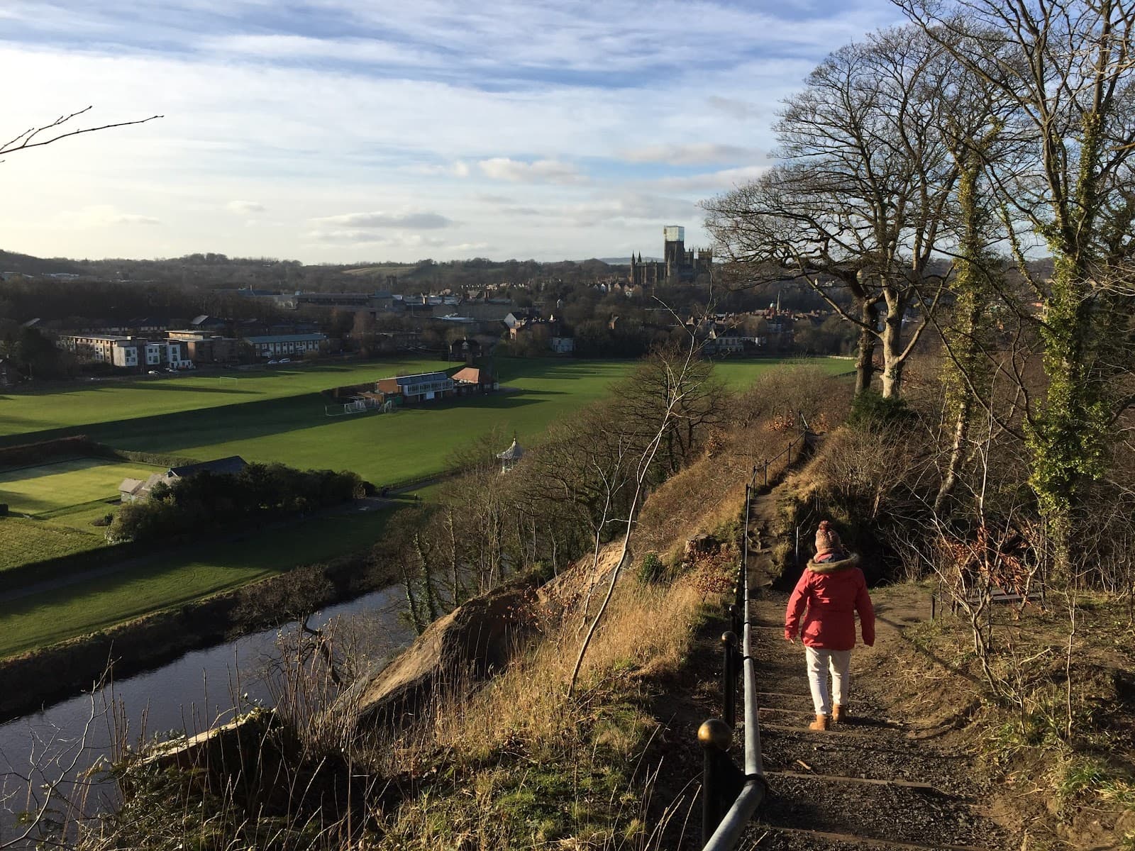 Pelaw Woods - Image 1