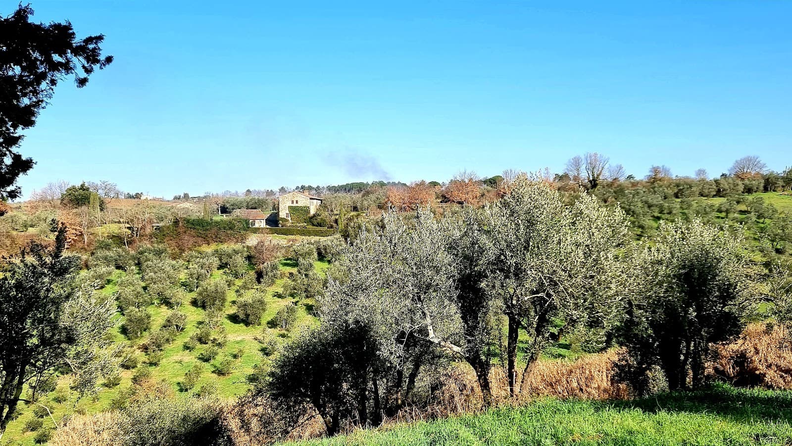 Montefiridolfi - Image 1