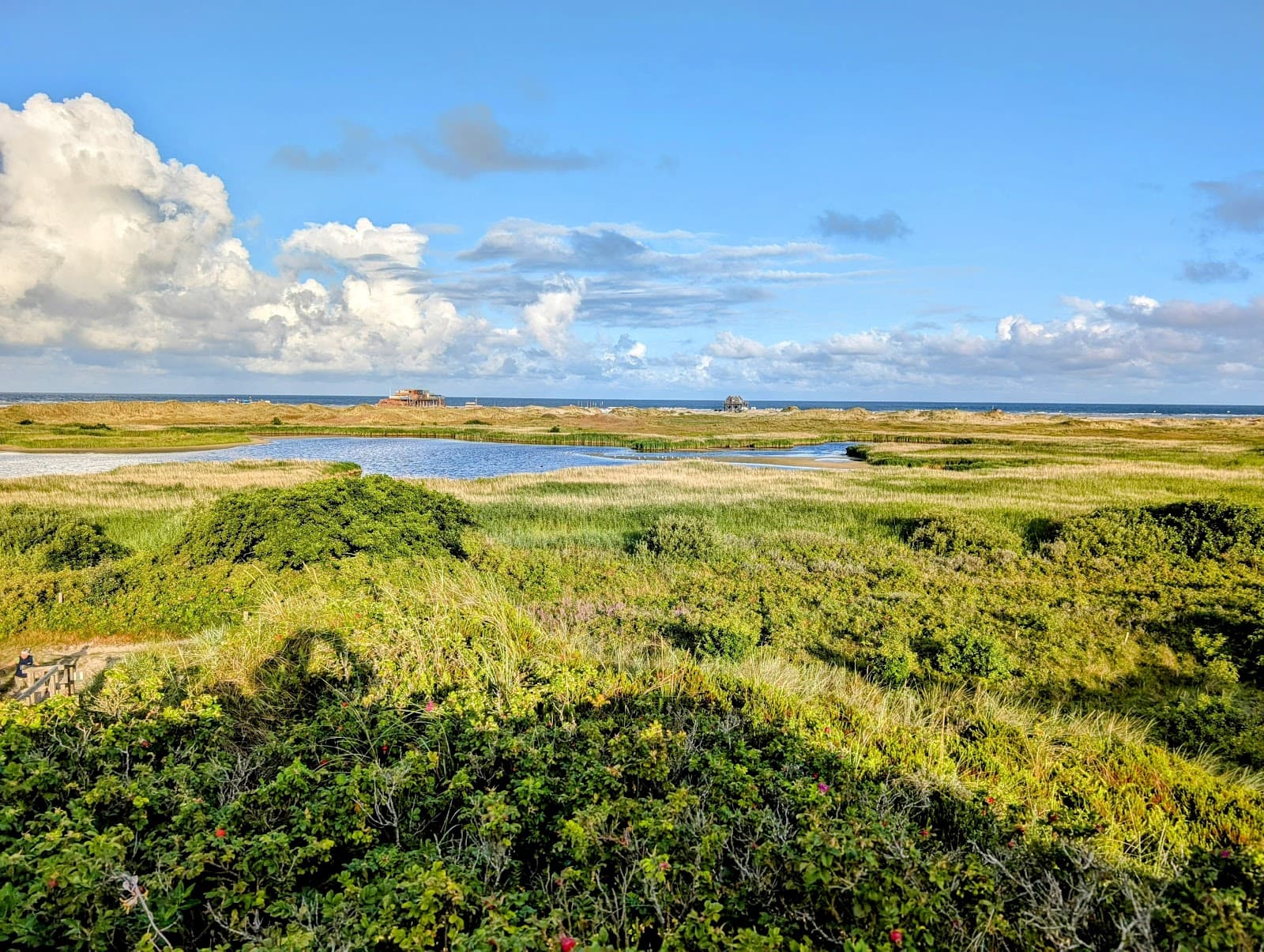 Salt Marshes St. Peter-Ording - Image 1