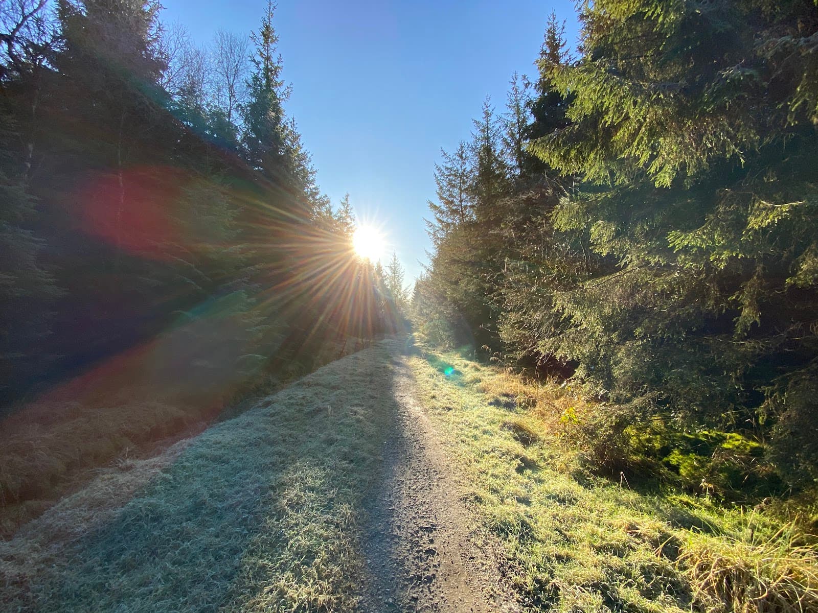 Gisburn Forest & Stocks Reservoir - Image 1