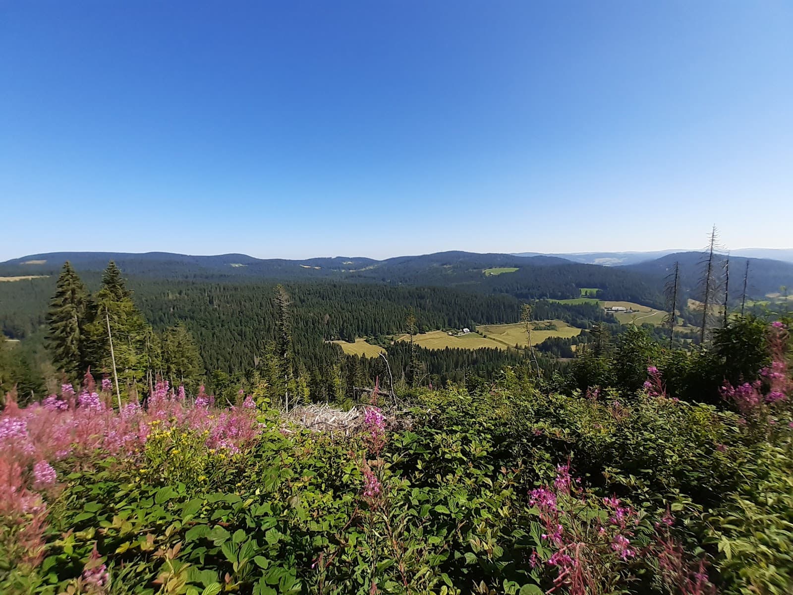 Liftverbund Feldberg - Image 1