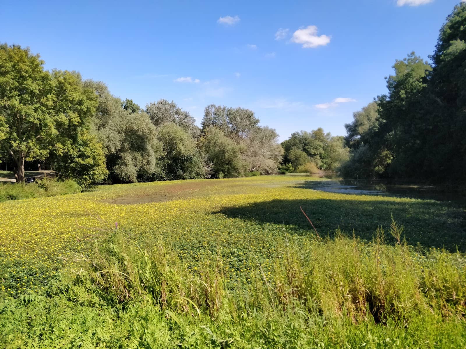 Playgrounds for Kids