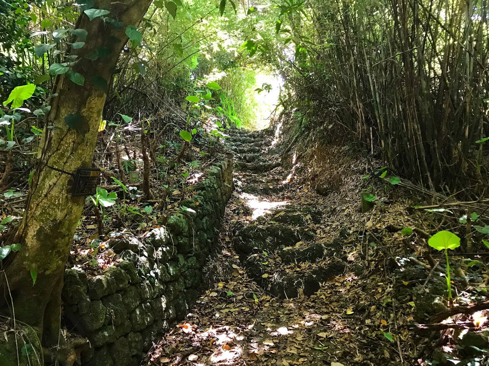 Gosamaru Ancestor's Grave