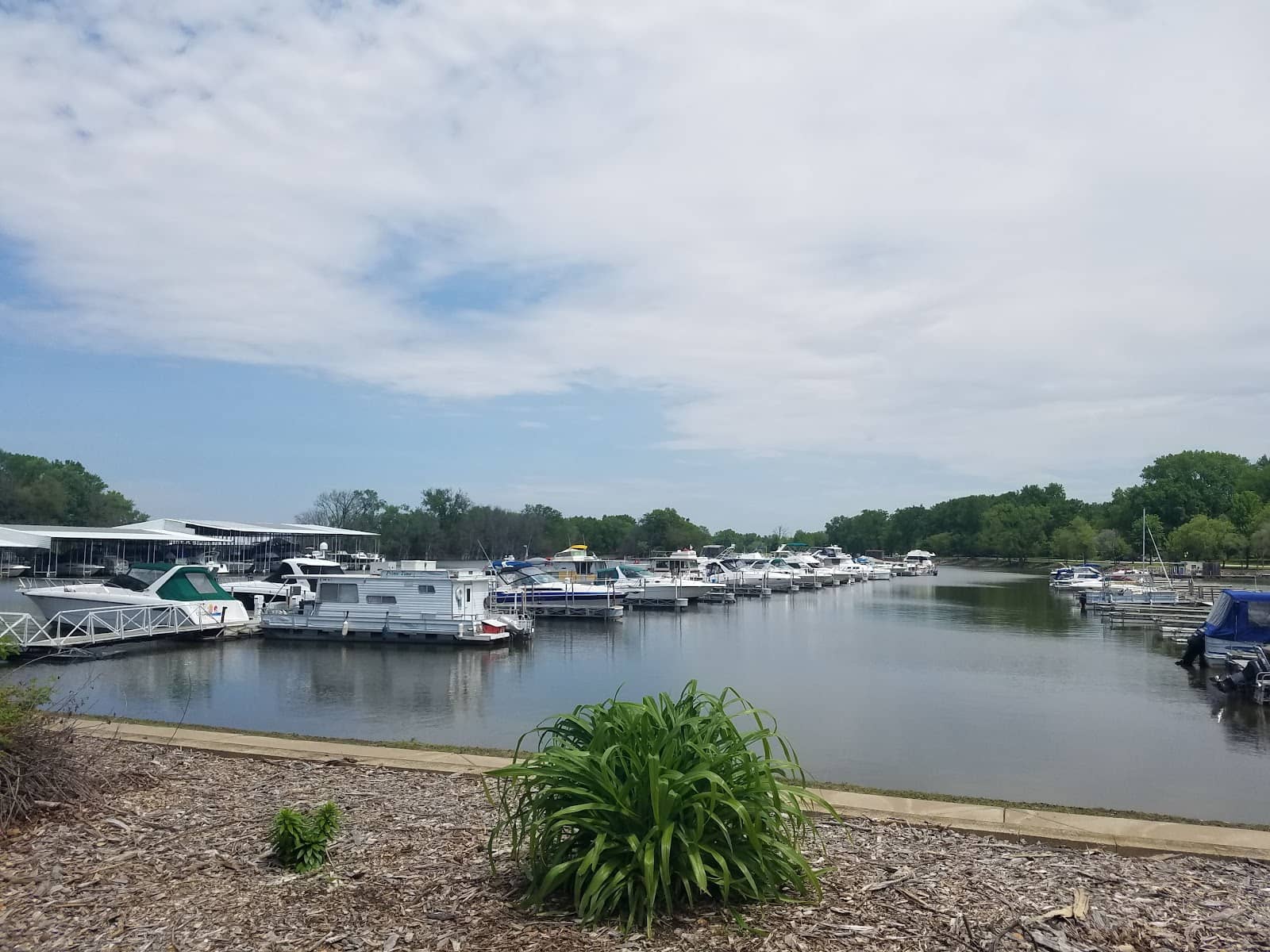 Car Shows and Live Music