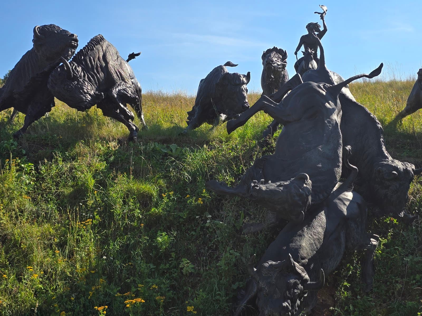 Tatanka: Story of the Bison - Image 1