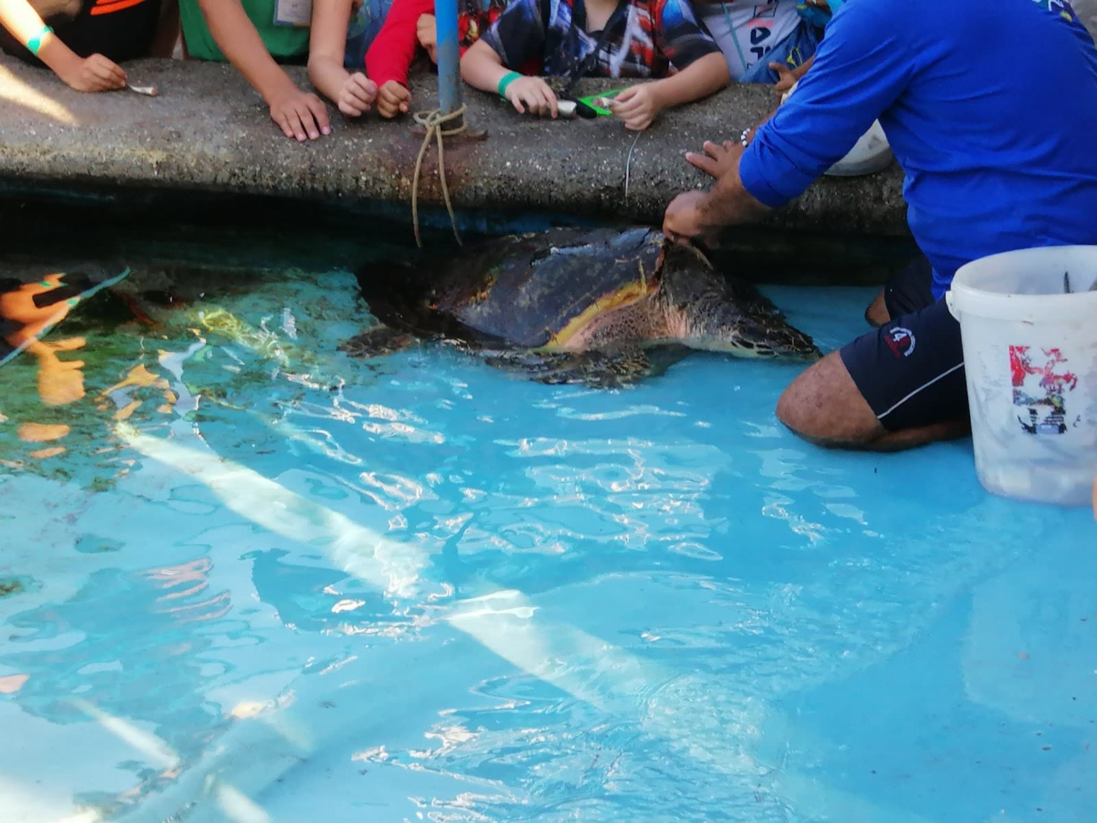 Acuario Mundo Marino Santa Marta - Image 1