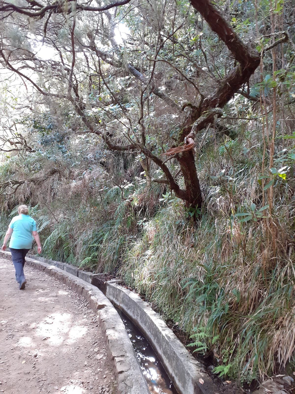 Rabaçal Valley - Image 1