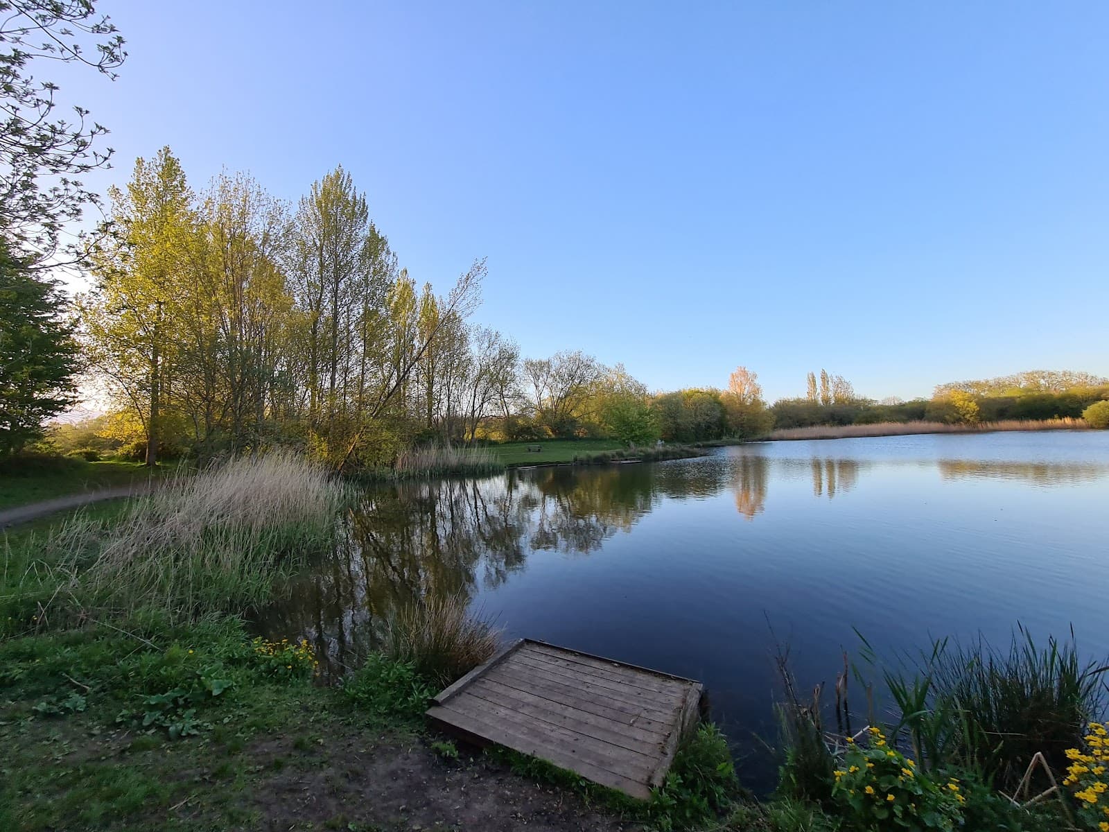 Mouldon Hill Country Park - Image 1