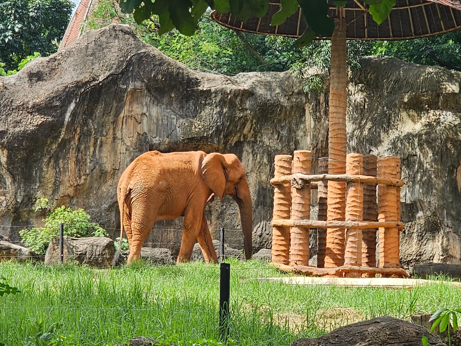 Nakhon Ratchasima Zoo - Image 1