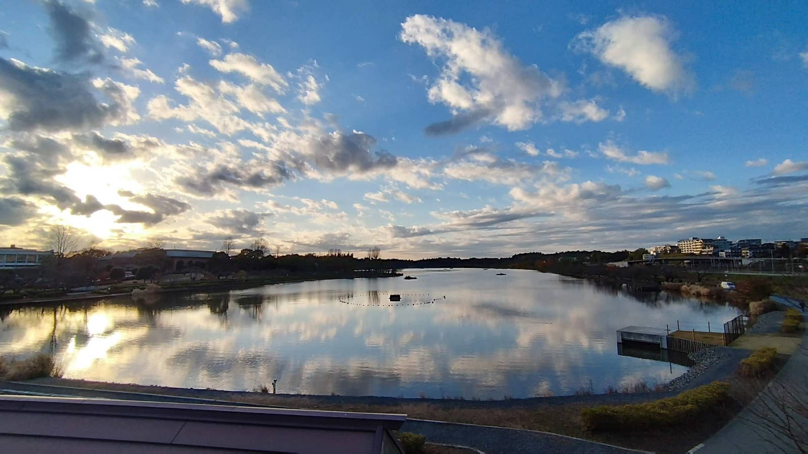 Cherry Blossom Spectacle