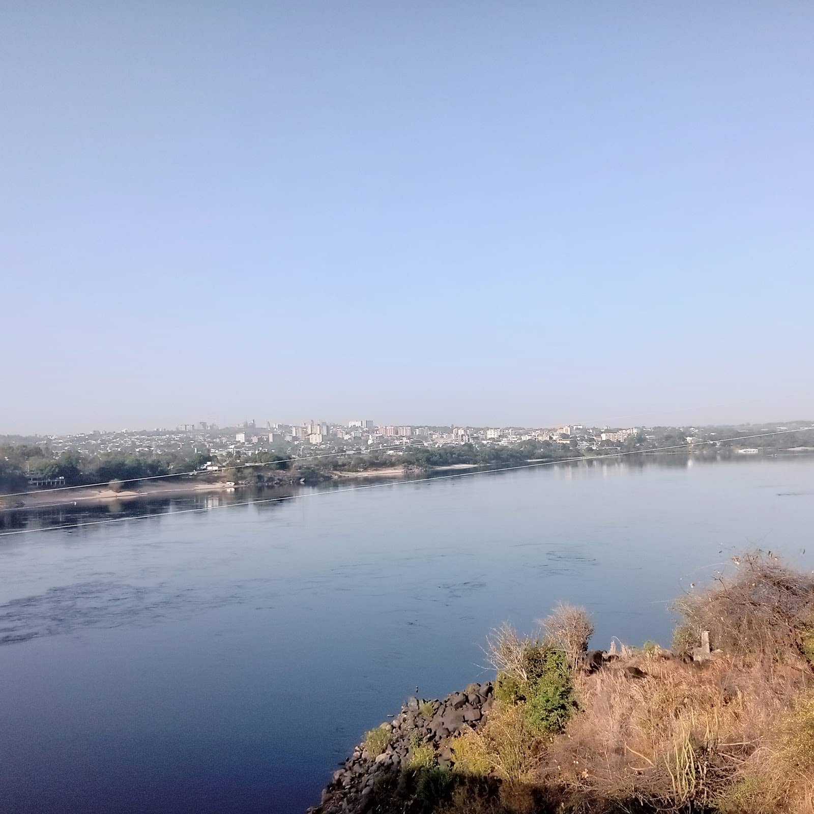 Local Life & Activity