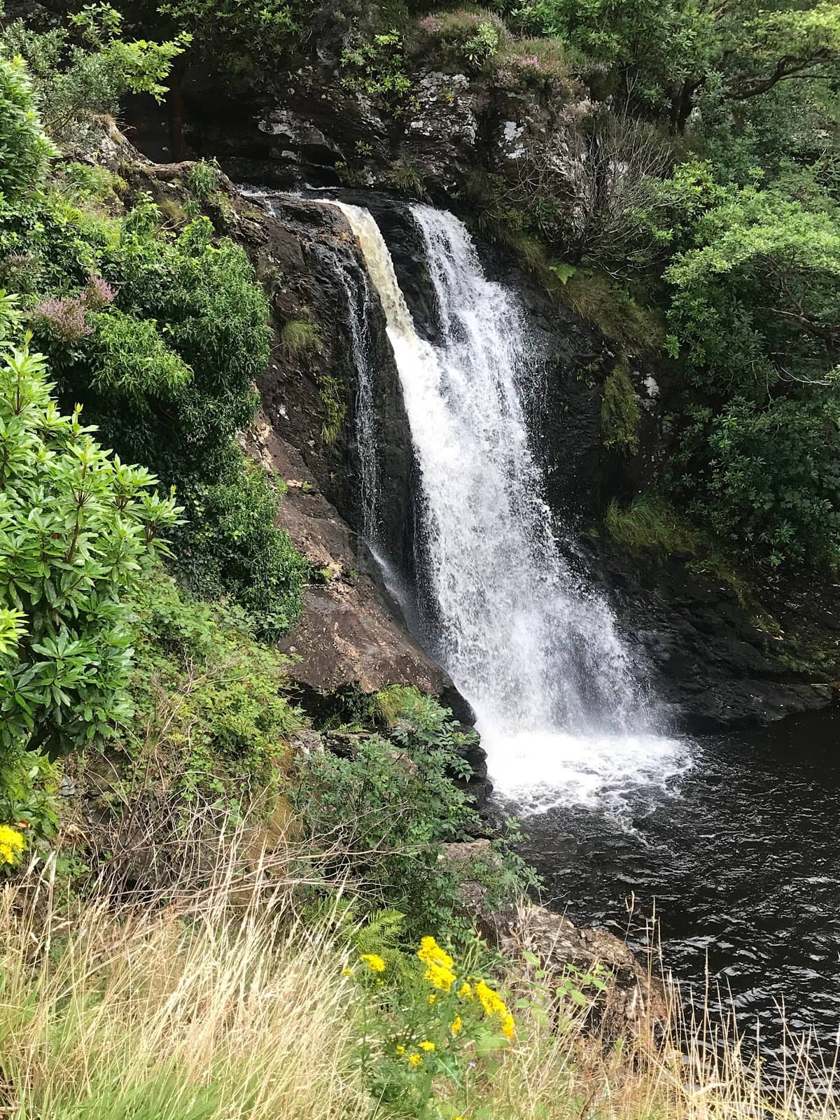 Vertical photo