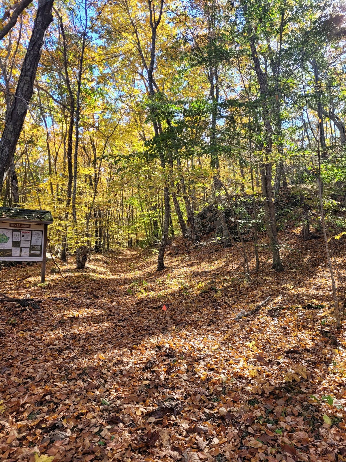 Riverwood Preserve - Image 1