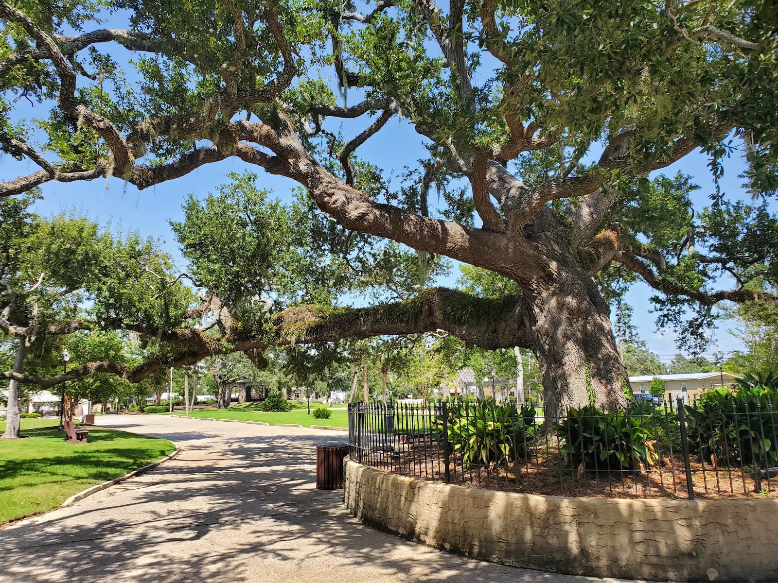 Oaks by the Bay Park - Image 1