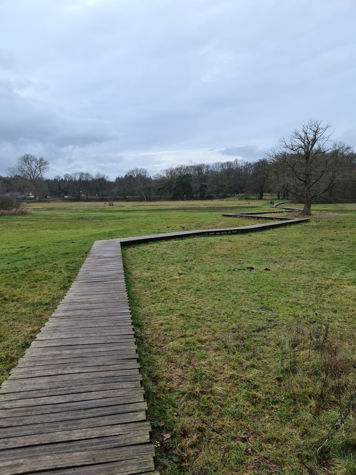 Renkums Beekdal - Image 1