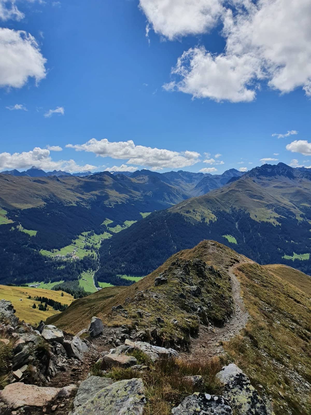 Alpine Panoramas