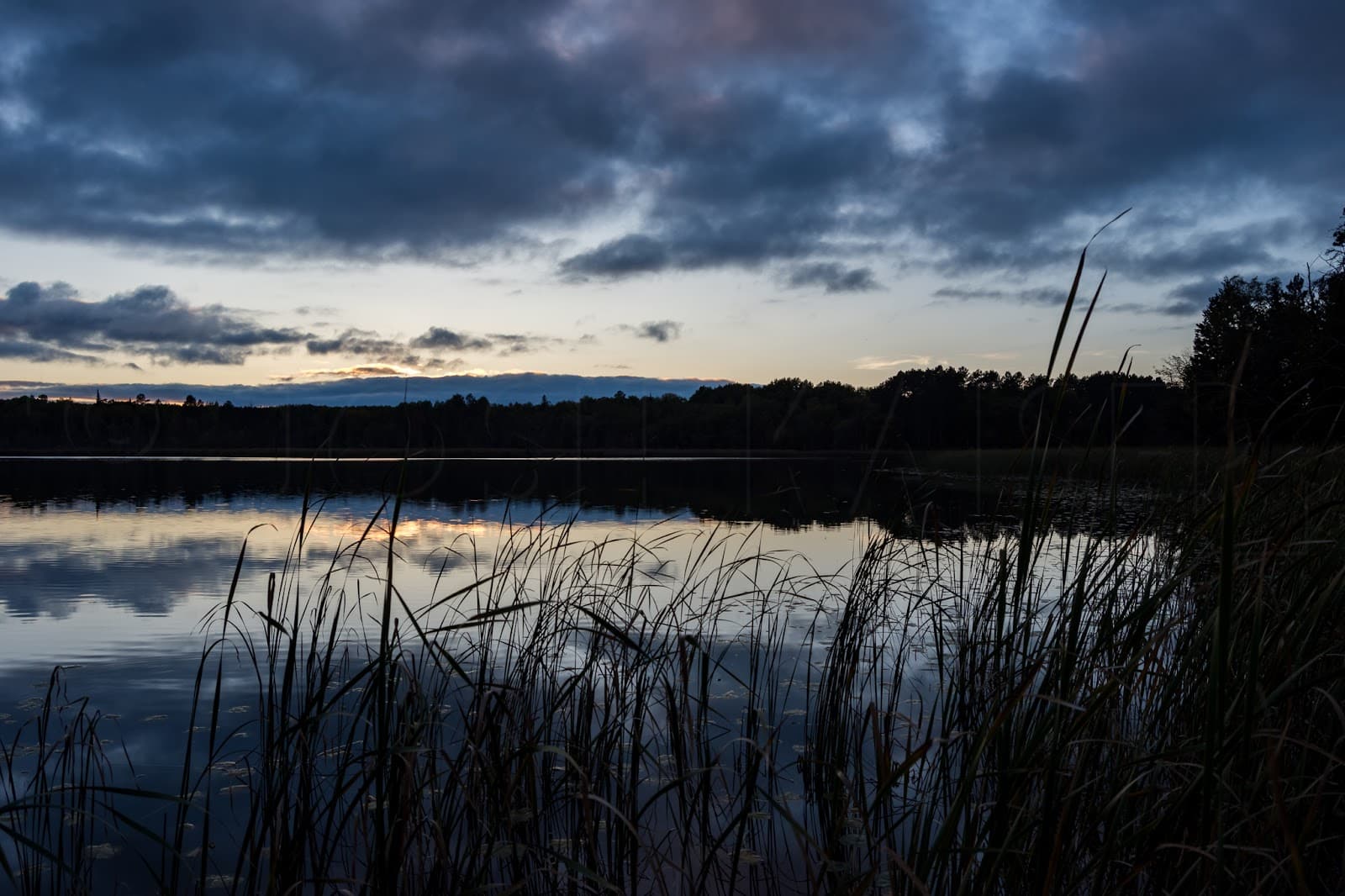 Neilson Spearhead Center - Image 1