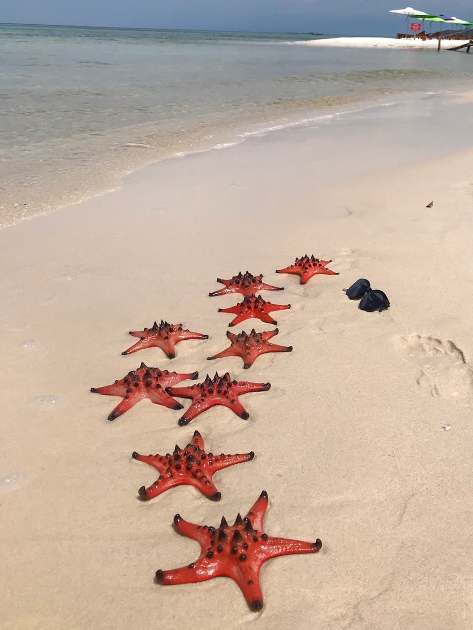 Starfish Beach (Rach Vem) - Image 1
