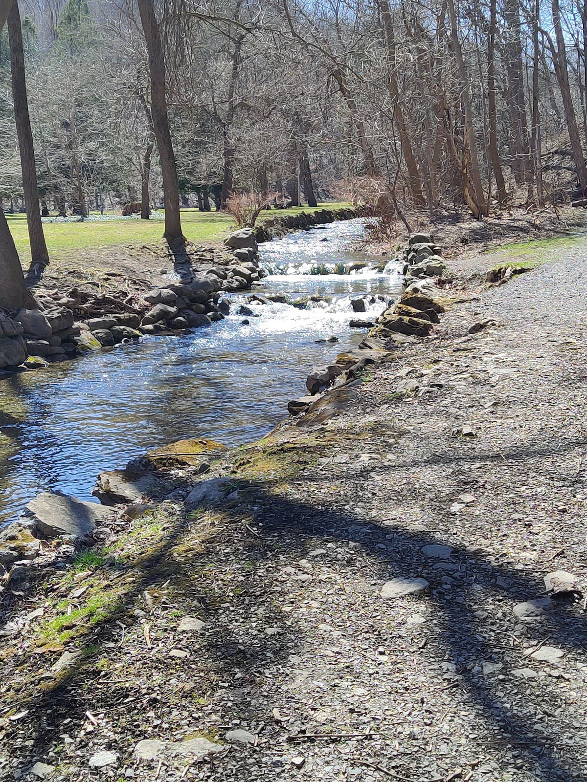 Elmwood Park - Image 1