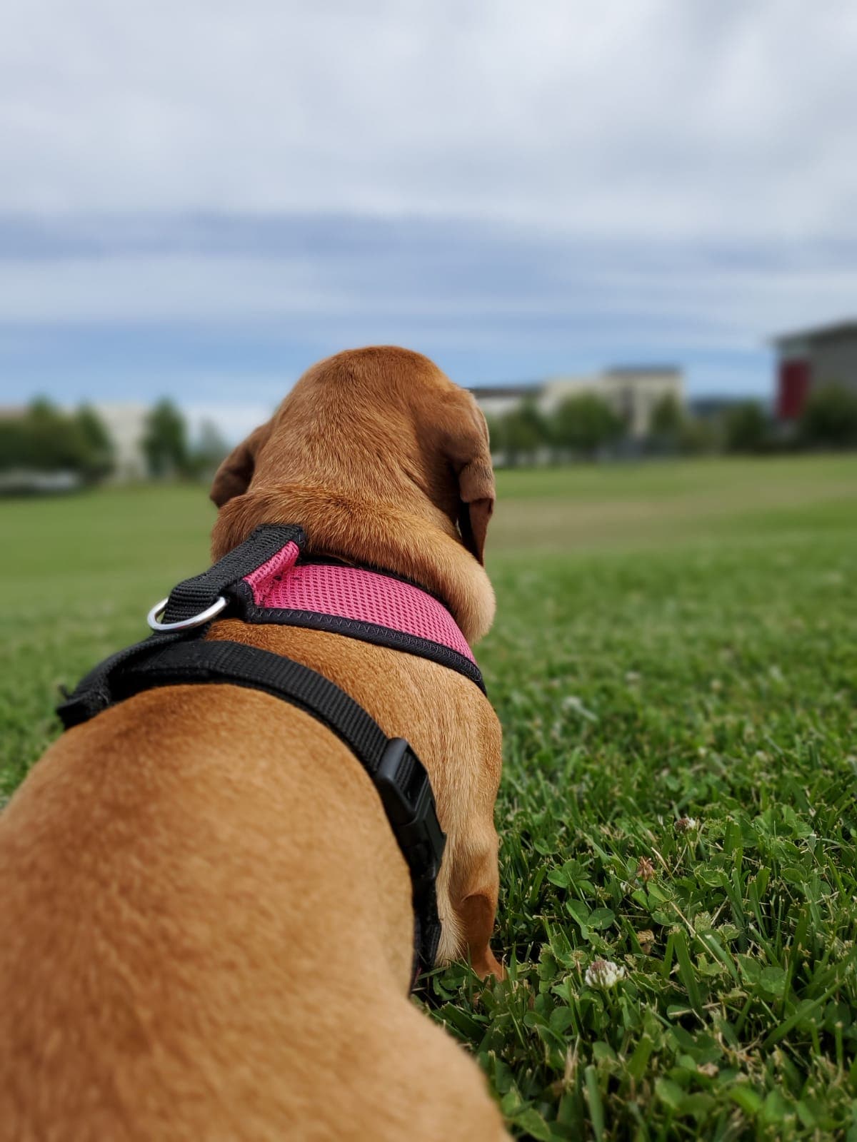 San Mateo Park (neighborhood) - Image 1