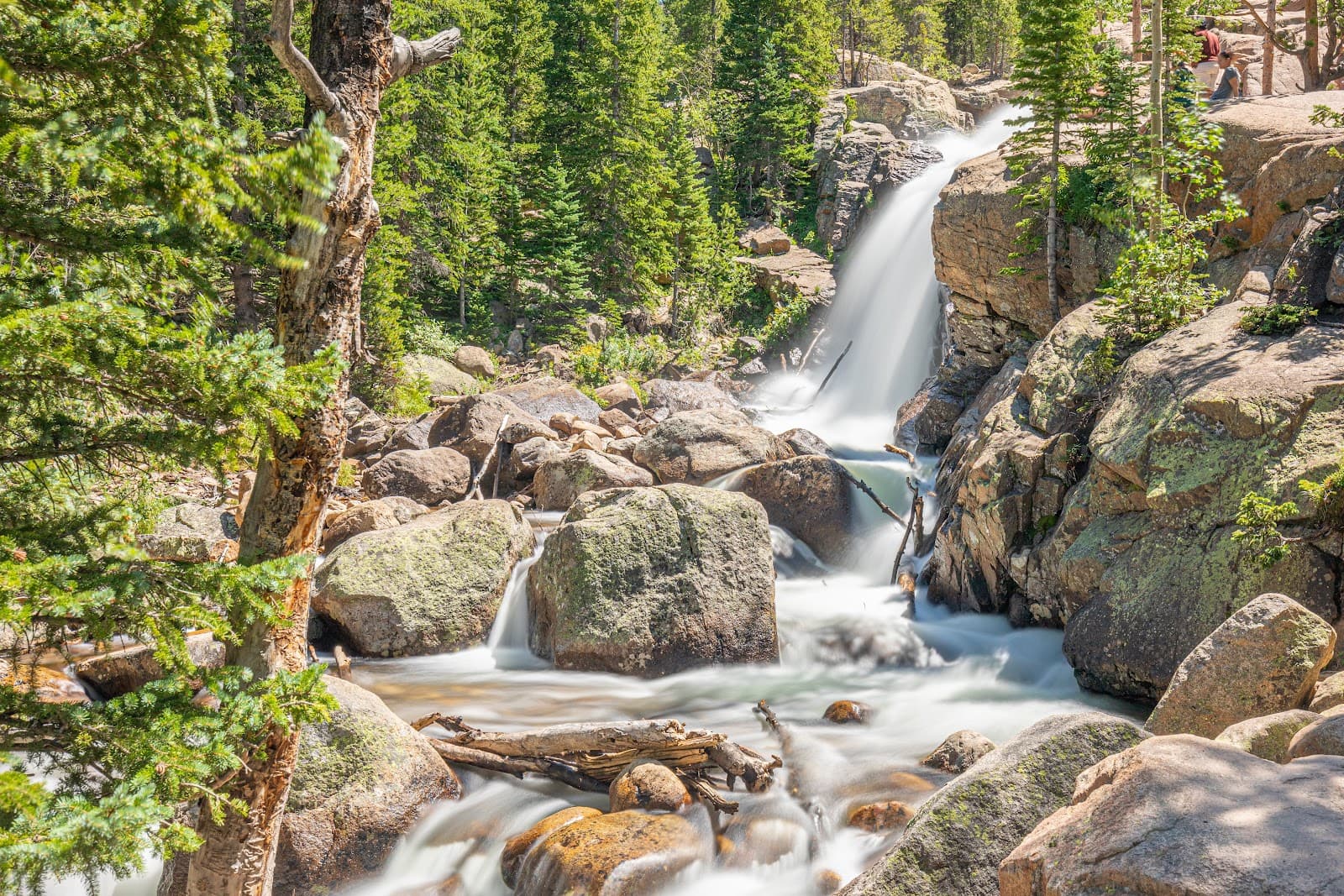 Alberta Falls - Image 1