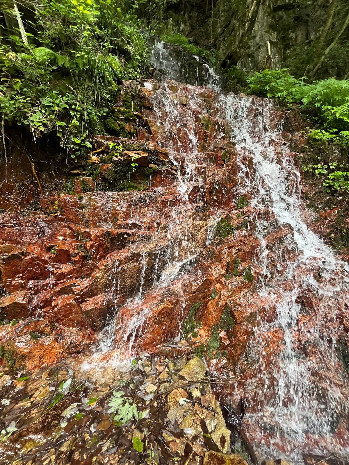 Scenic Hiking Trails