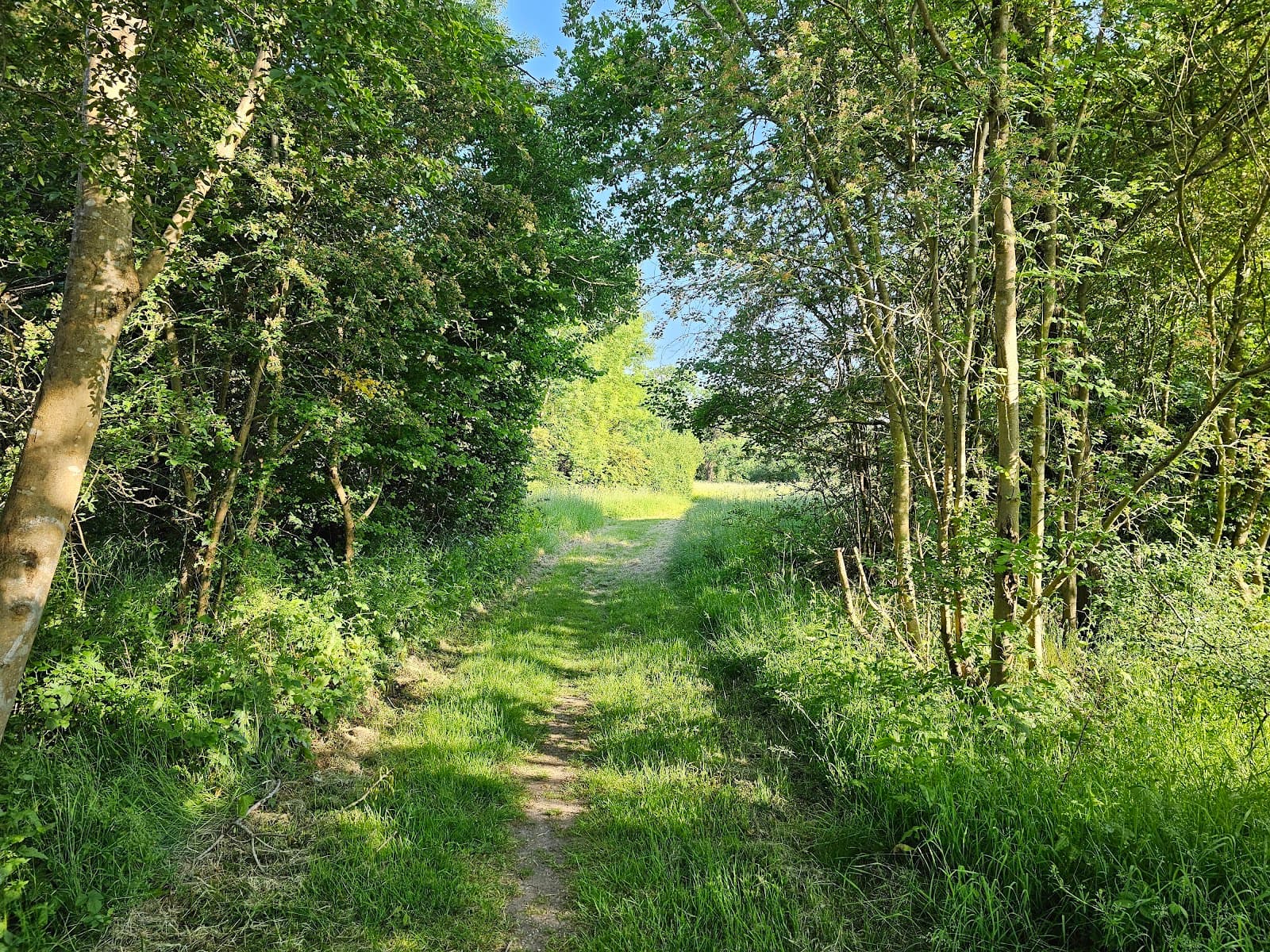 River Crane Walk (Hounslow) - Image 1