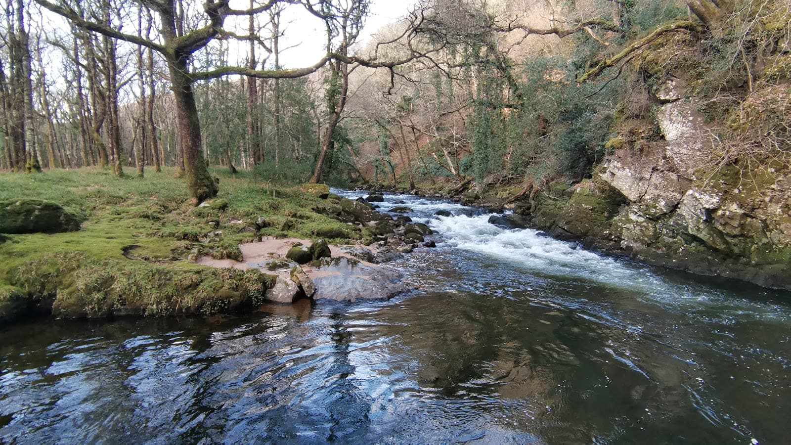 New Bridge River Dart - Image 1
