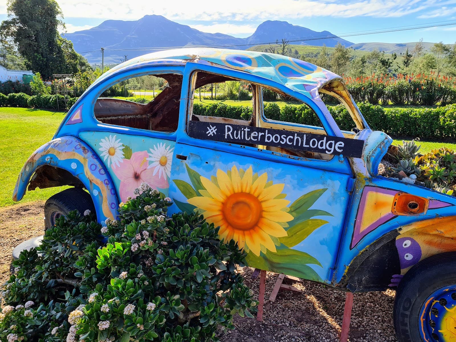 Ruiterbos Nature Reserve - Image 1