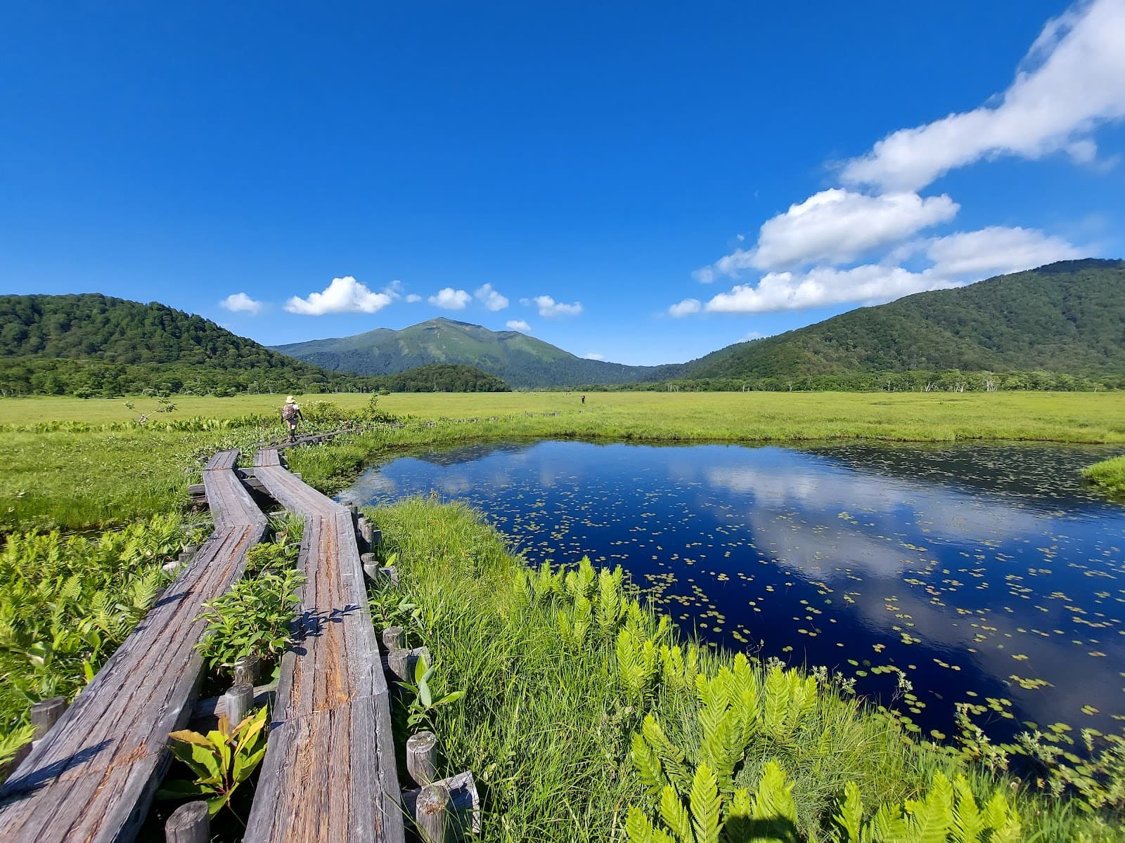 Oze National Park (Hatomachi) - Image 1
