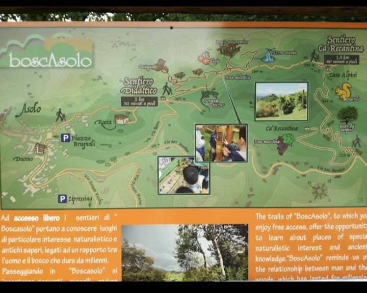 Rich Forest Ecosystem