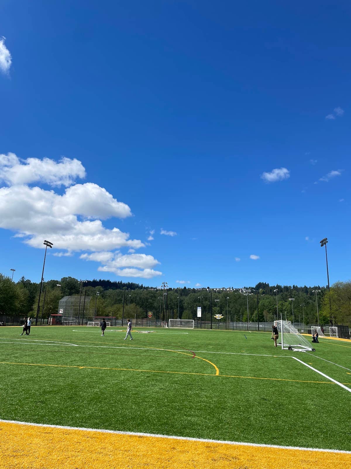 Sports Fields Galore