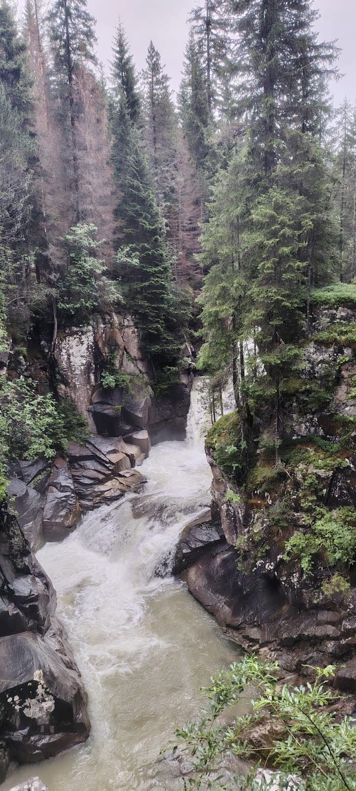 Paneveggio Visitor Center & Deer Reserve - Image 1
