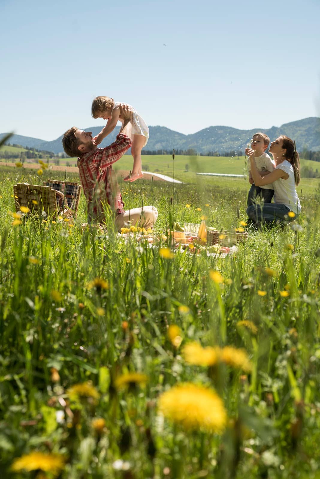 Hiking Trails Galore
