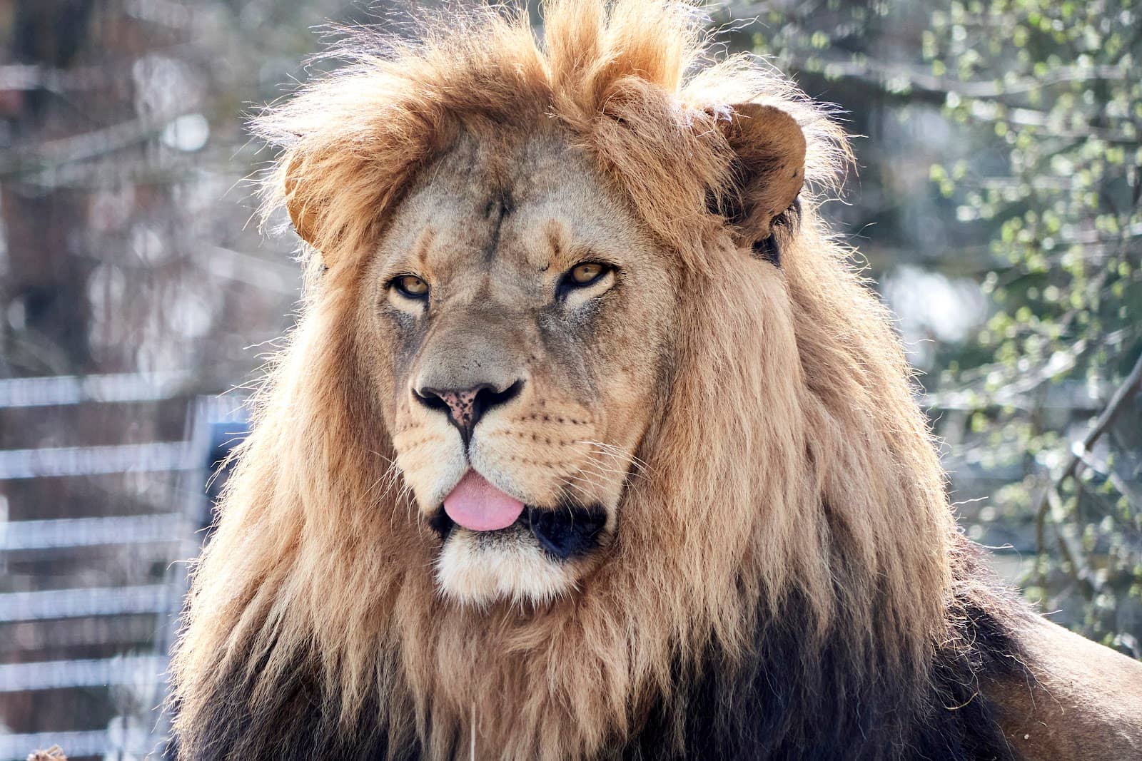 Spacious Animal Enclosures