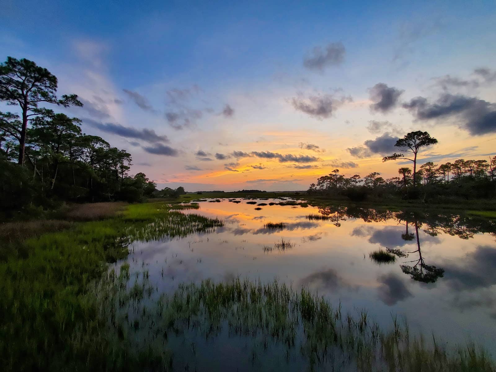 Peaceful Nature Walk