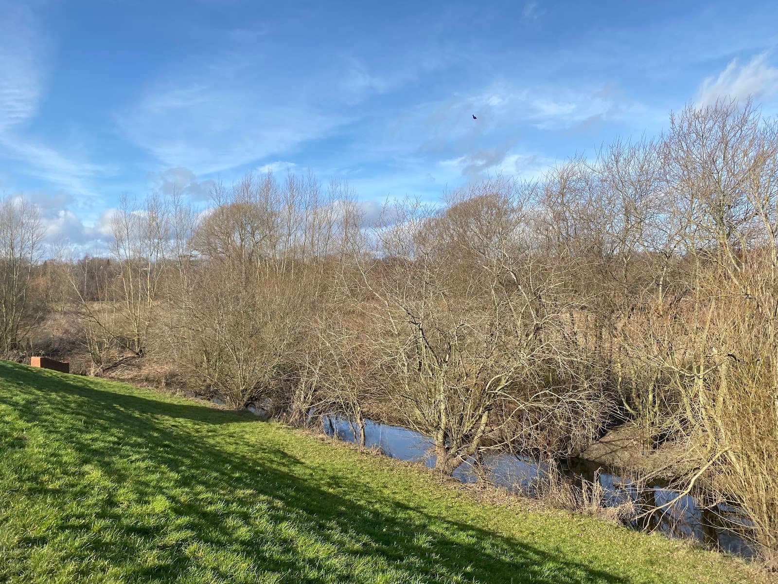Puxton Marsh Nature Reserve - Image 1