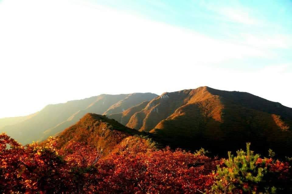 Yeongnam Alps Skywalk - Image 1