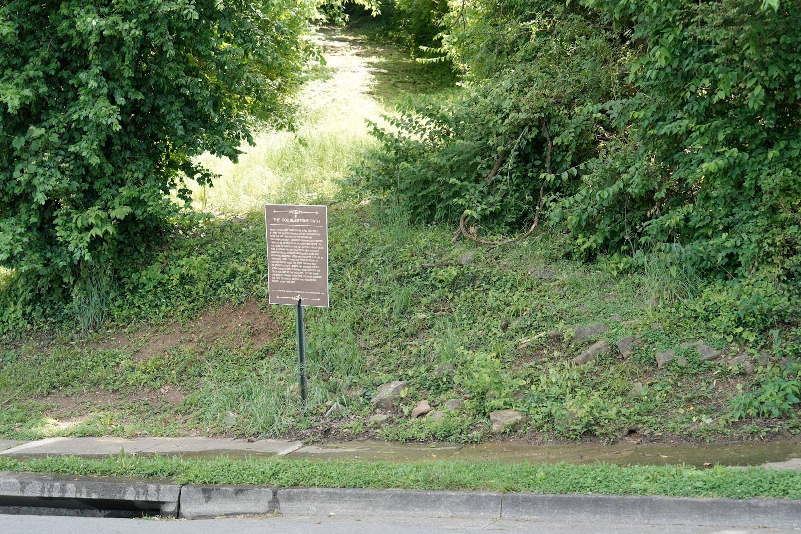 Charming Garden Pathways