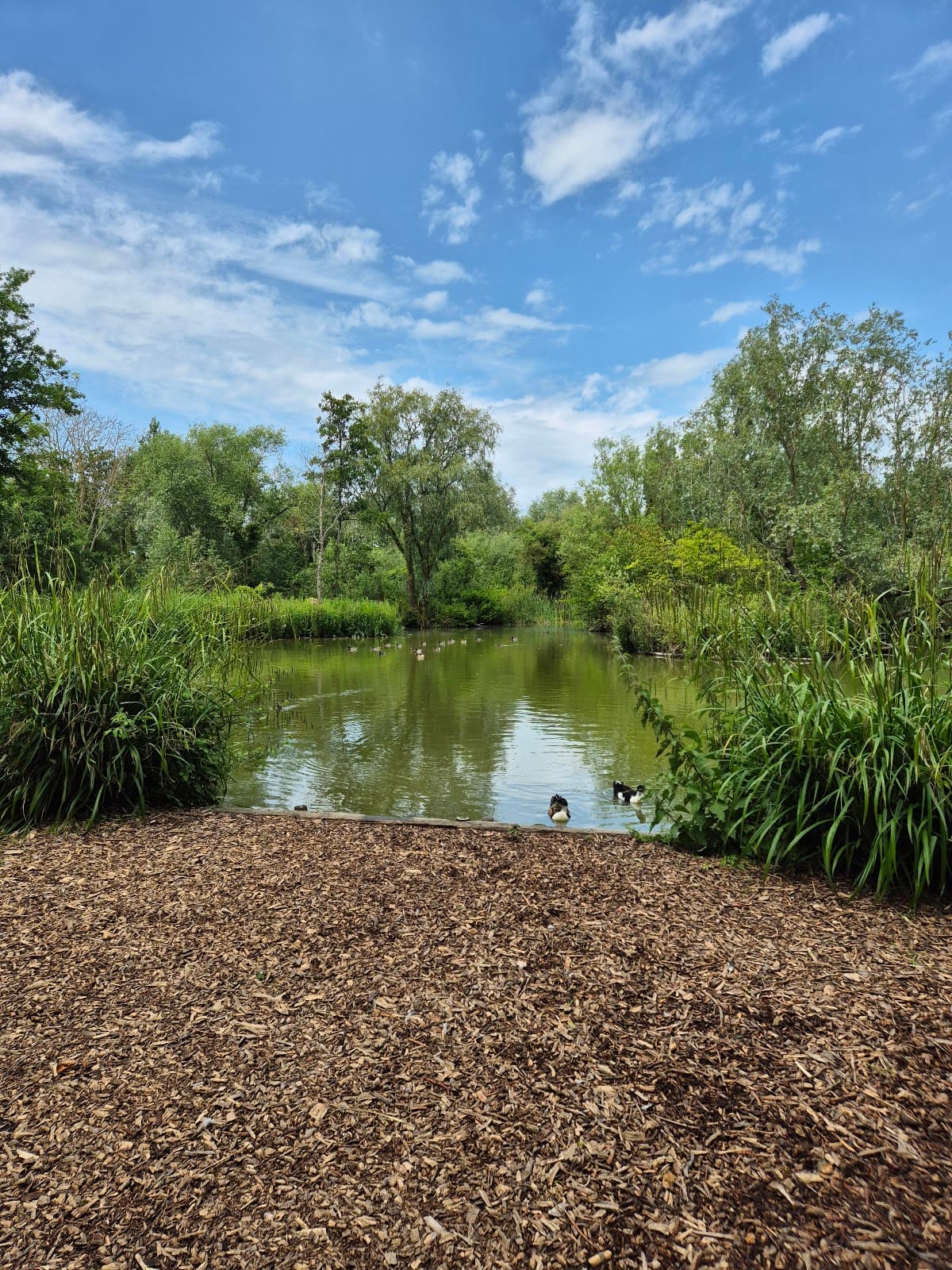 The Salutation Gardens - Image 1