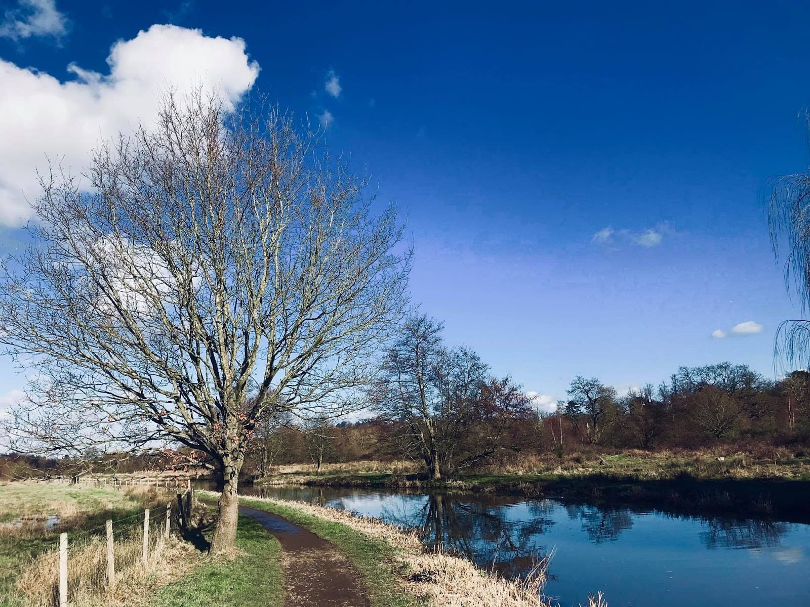River Wey Navigation - Image 1
