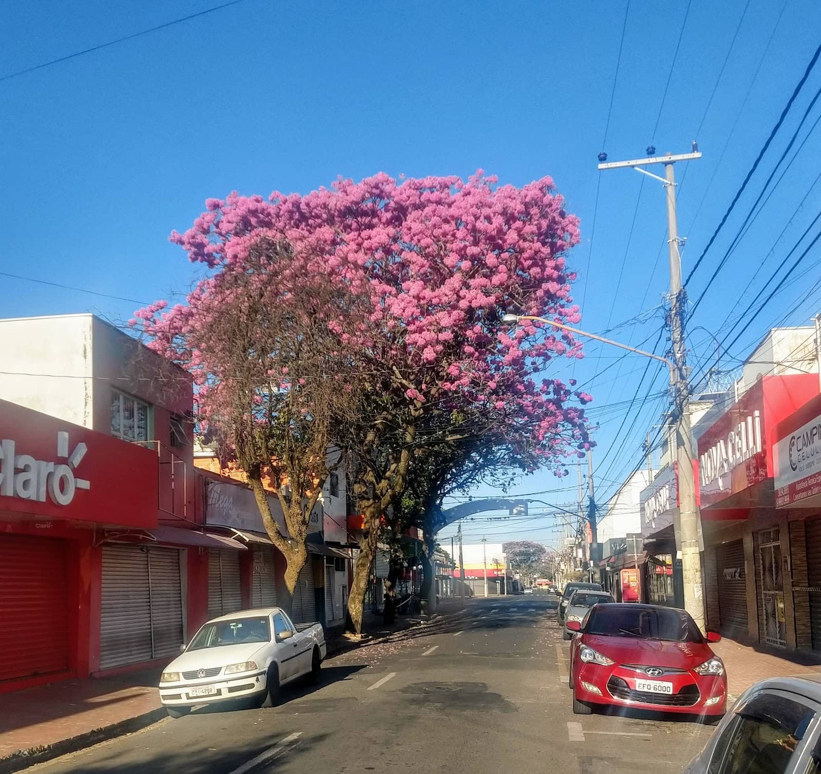 Rua Vinte e Quatro de Maio