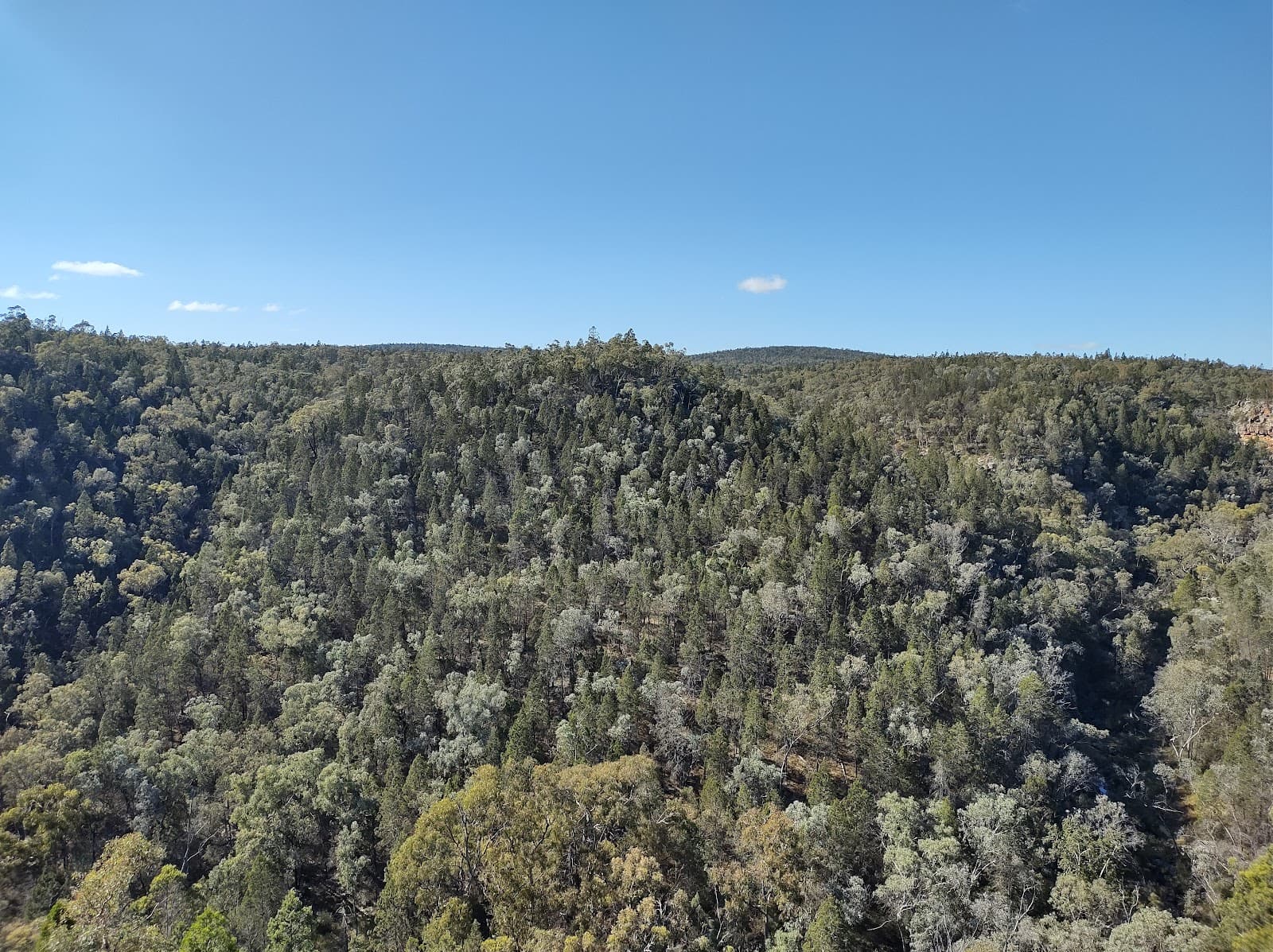 Conimbla National Park - Image 1