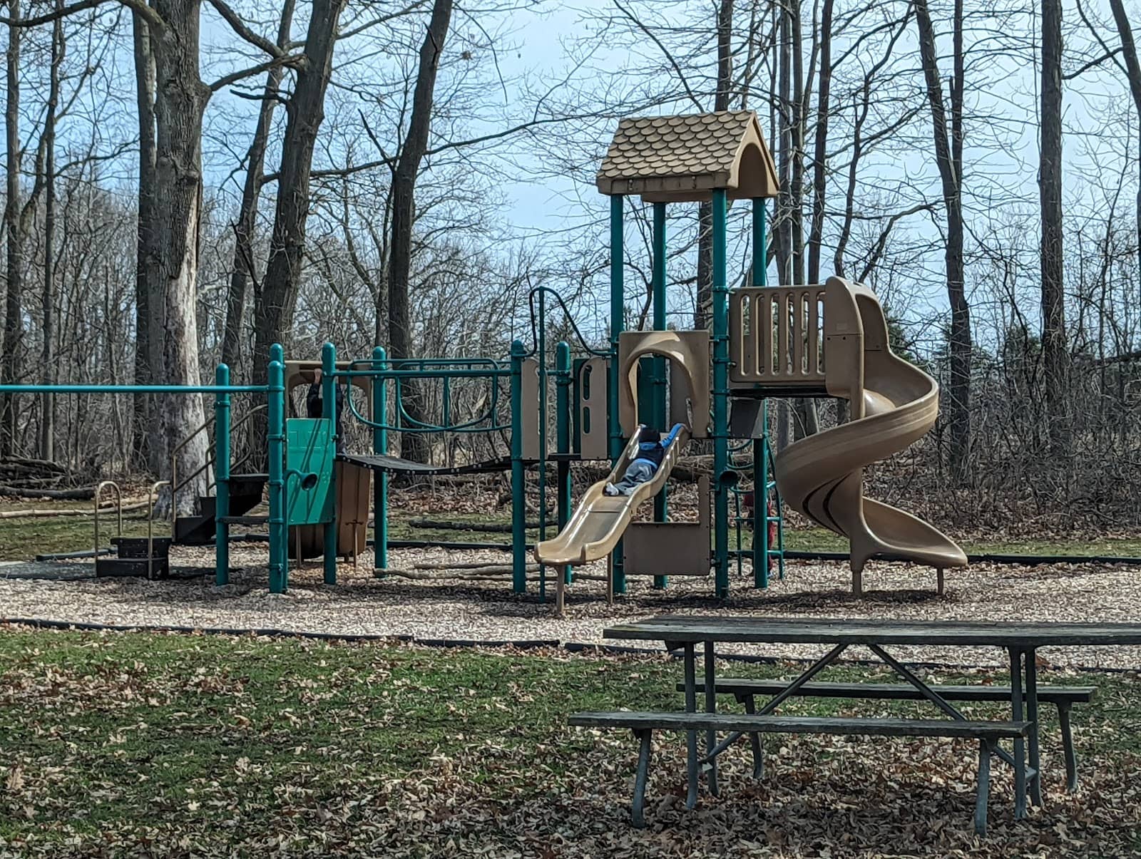 Secluded Picnic Grounds